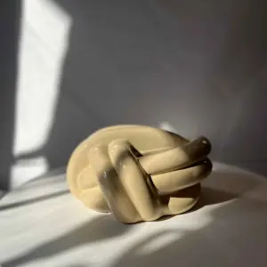 Chrome Knot Tissue Box