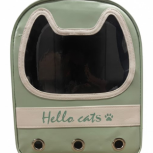 Light Green Hello Kitty Backpack