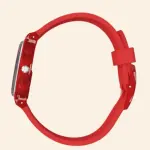 SWATCH GR178